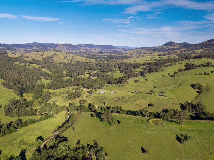 321 Masseys Creek Rd,Eccleston via, East Gresford NSW 2311 - Image 1