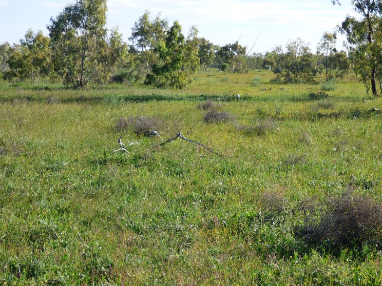Click to view all images Charleville QLD 4470 - Image 2