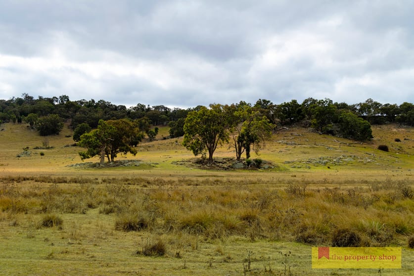 Click to view all images 404 Bara Lue Road Lue NSW 2850 - Image 1