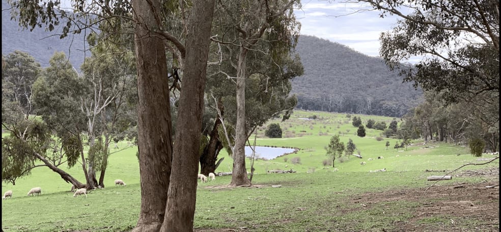 Click to view all images 1 Old Number Two Creek Road Percydale VIC 3478 - Image 3