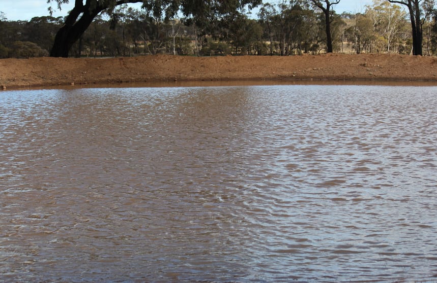 Click to view all images 244 Charcoal Tank Road West Wyalong NSW 2671 - Image 3