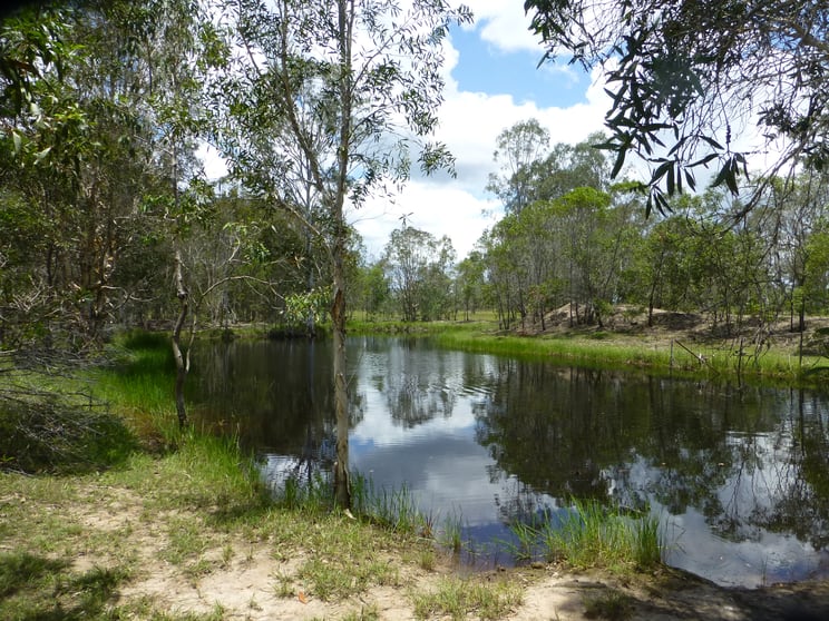 Click to view all images 27369 BRUCE HIGHWAY Isis River QLD 4660 - Image 3