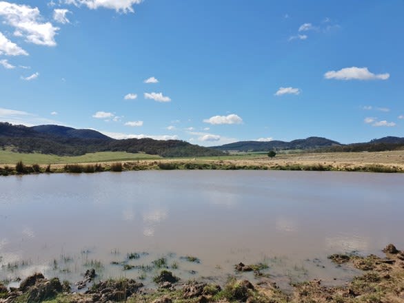 Click to view all images 111 Hereford Hall Road, Hereford Hall Braidwood NSW 2622 - Image 1