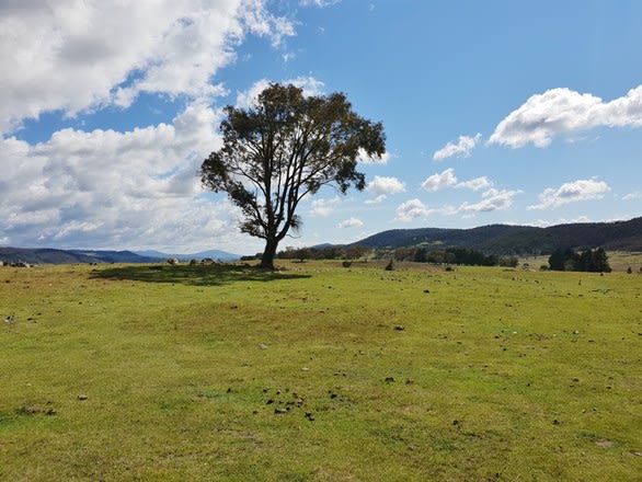 Click to view all images 111 Hereford Hall Road, Hereford Hall Braidwood NSW 2622 - Image 2