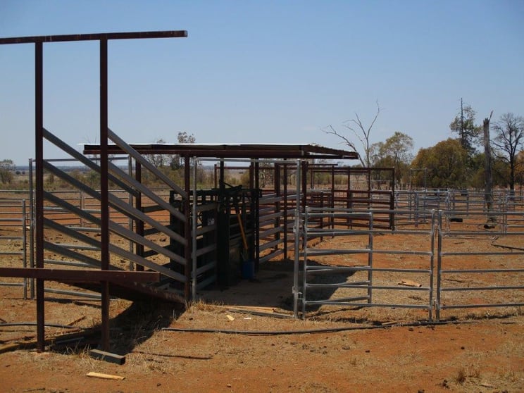 1870 ACRES FARMING AND GRAZING Hannaford QLD 4406 - Image 2