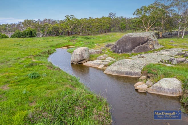 466 Balala Road Uralla NSW 2358 - Image 2