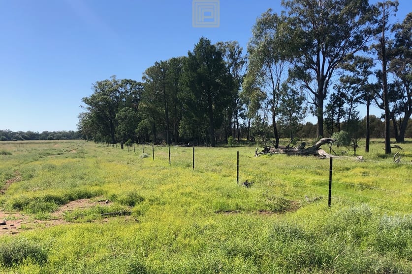 Click to view all images "Werona" 4316 Cypress Way Gwabegar NSW 2356 - Image 3