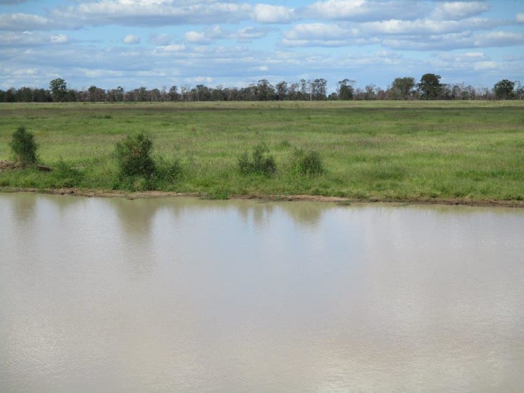 2438 ACRES BRIGALOW/BELAH Tara QLD 4421 - Image 3