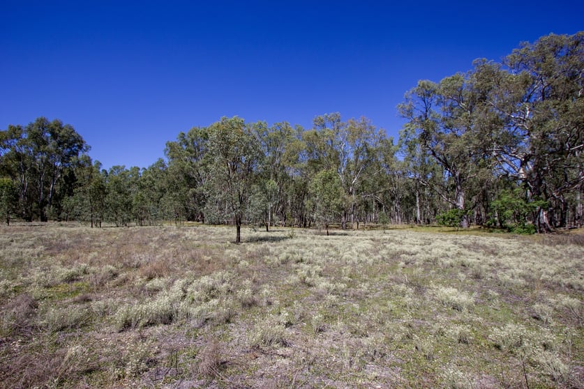 Click to view all images 2/7 Mclays Road Narrandera NSW 2700 - Image 3