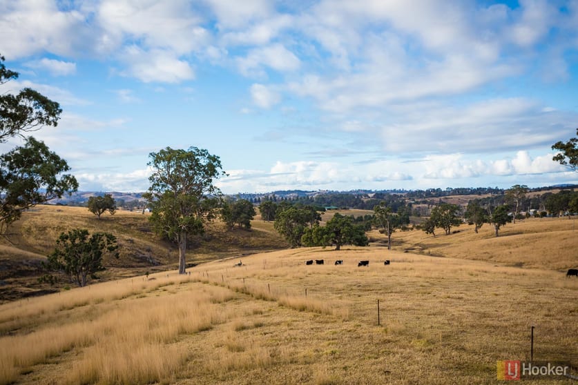 Click to view all images 124A Mogilla Road Candelo NSW 2550 - Image 3