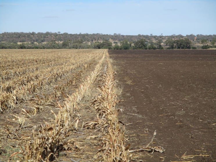240 ACRES GRAIN & GRAZING Bell QLD 4408 - Image 3