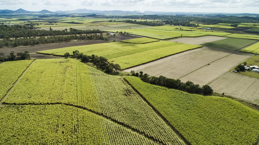 Click to view all images Lot 2 Mount Vince Road Victoria Plains QLD 4751 - Image 3