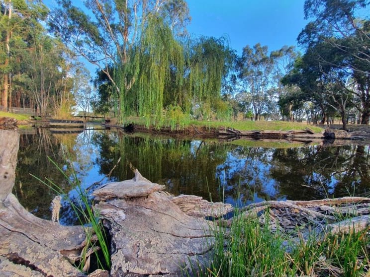 Click to view all images 1185 Wrattonbully road Wrattonbully SA 5271 - Image 1