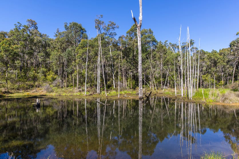 Click to view all images 58 Rowe Road Nannup WA 6275 - Image 2
