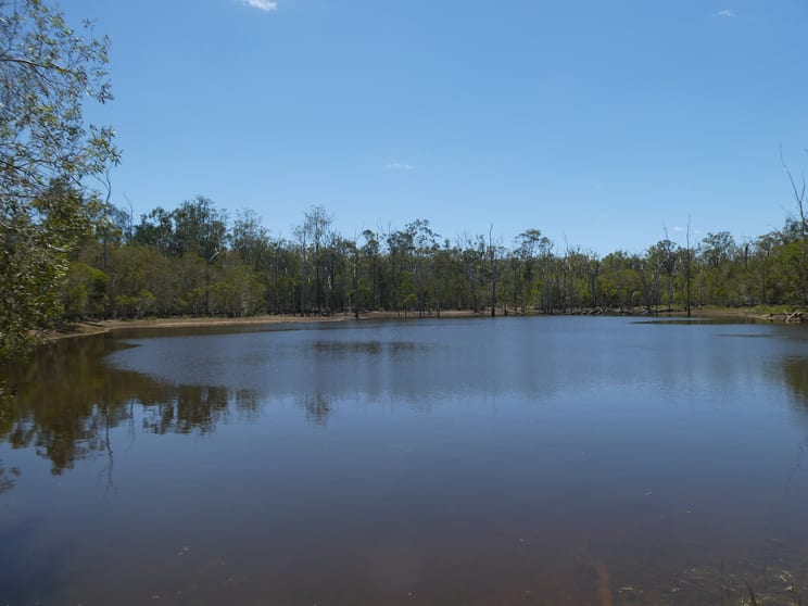 Click to view all images 471 Rainbows Road South Isis QLD 4660 - Image 2