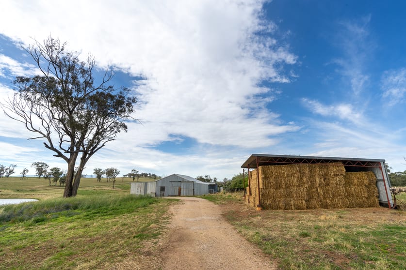 606 Peabody Road Orange NSW 2800 - Image 3
