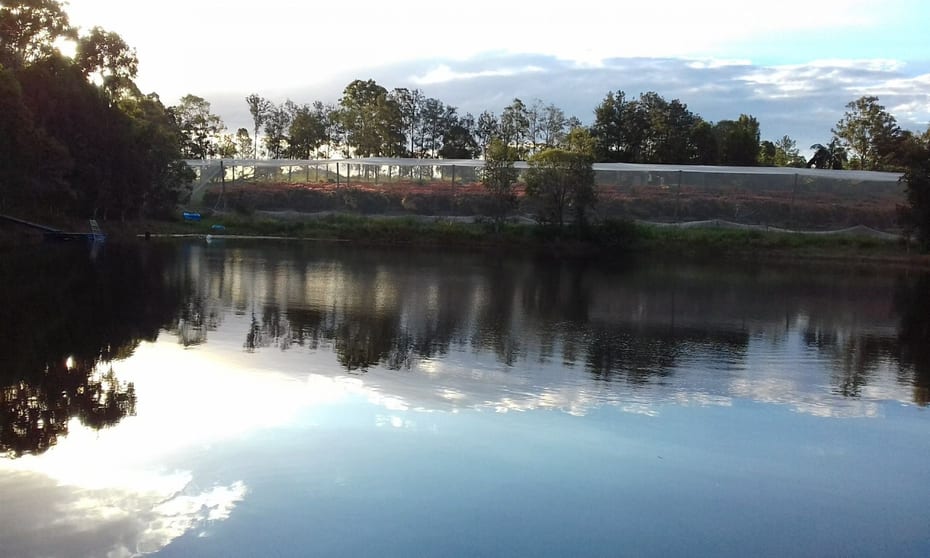 Click to view all images Goomboorian QLD 4570 - Image 1