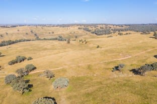Click to view all images 347 Sheridan Park Road Boorowa NSW 2586 - Image 1