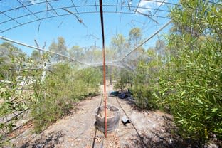 Click to view all images 225 Johnston Road Nannup WA 6275 - Image 3