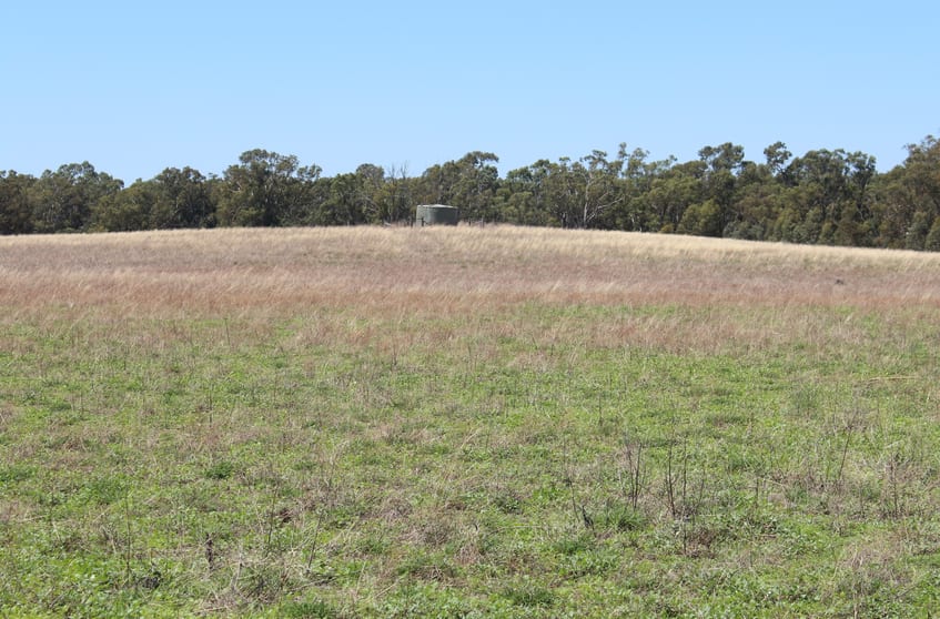 Click to view all images 183 O'mahoneys Road Morundah NSW 2700 - Image 3