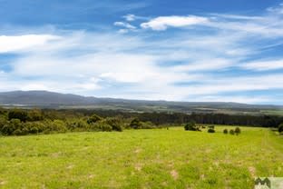 Lot 1/5 Griffin Road Tolga QLD 4882 - Image 1