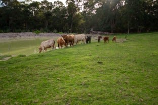 Click to view all images 2685 Scotsdale Road Denmark WA 6333 - Image 1