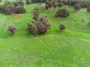 Click to view all images Lot 8474 Da Ronchs Road North Greenbushes WA 6254 - Image 3