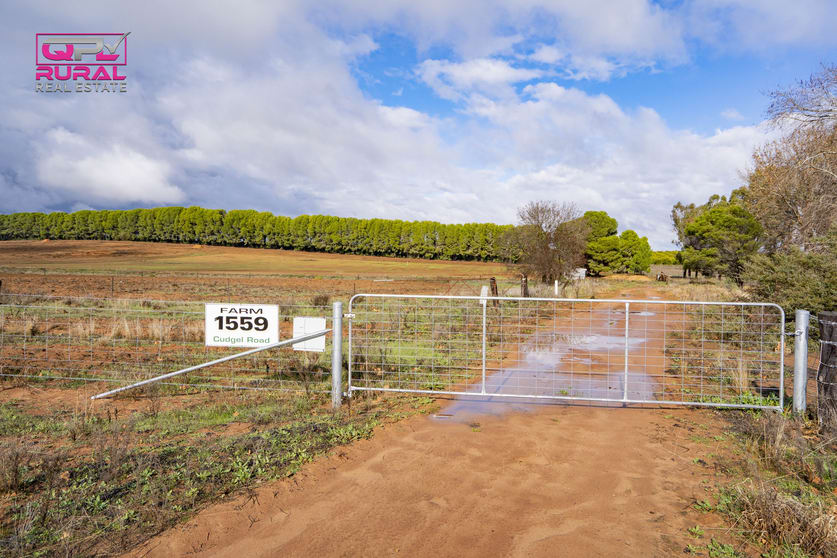 Click to view all images 1559 Cudgel Road Leeton NSW 2705 - Image 2