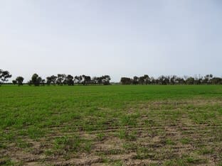 Click to view all images Lot 5980 Brookton Kweda Road Aldersyde WA 6306 - Image 3