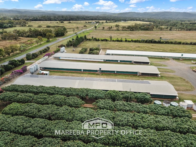 Click to view all images 1004 Bilwon Road Biboohra QLD 4880 - Image 2