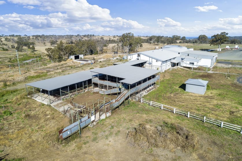 Click to view all images 168 Boundary Road Pittsworth QLD 4356 - Image 2