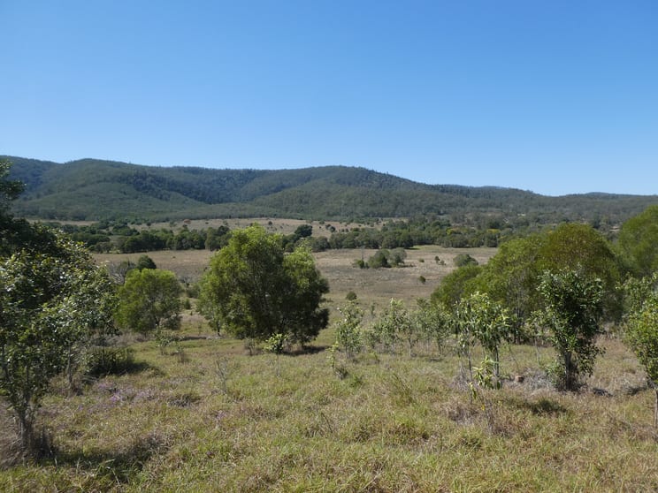 173 RED HILL ROAD Woowoonga QLD 4621 - Image 1