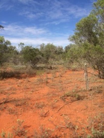 Click to view all images Lot 4 Dowling Track Fords Bridge NSW 2840 - Image 3