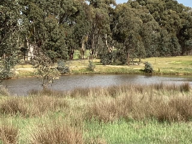 Click to view all images Lot 38C Lexton-Evansford Road Evansford VIC 3371 - Image 1