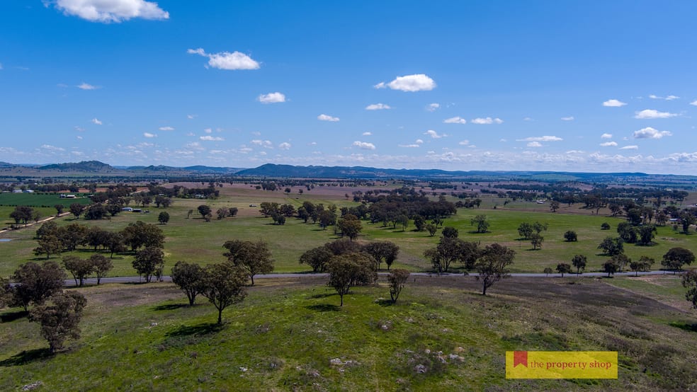 5/705 Springfield Lane Gulgong NSW 2852 - Image 2