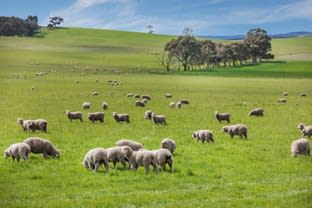 Click to view all images 567 Werona-Kingston Road Werona VIC 3364 - Image 3