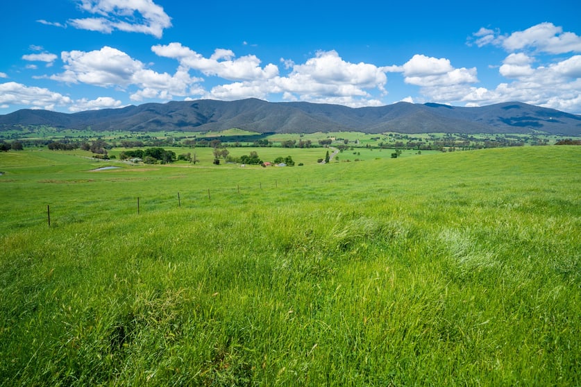 Click to view all images 2254 Kiewa Valley Highway Dederang VIC 3691 - Image 2