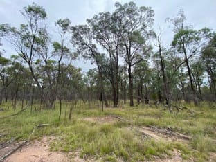 Click to view all images Lot 25 Vickery Road Goranba QLD 4421 - Image 3