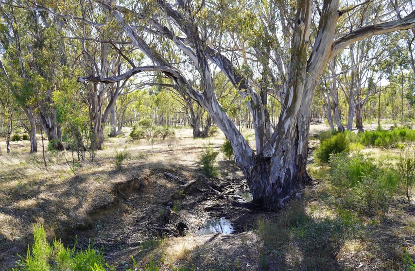 Click to view all images 165 Raglus Road Redcastle VIC 3523 - Image 3