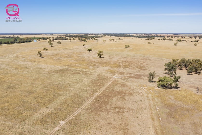 Click to view all images 245 Mellington Road Coleambally NSW 2707 - Image 3
