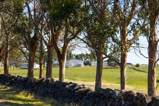 14 Flagstaff Road Port Fairy VIC 3284 - Image 2
