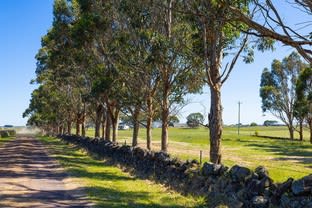 14 Flagstaff Road Port Fairy VIC 3284 - Image 3