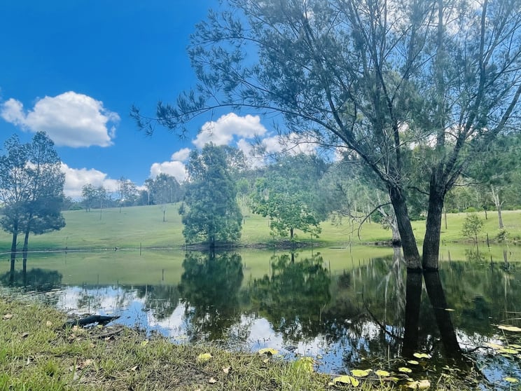 Click to view all images 2386 Gympie Woolooga Road Widgee QLD 4570 - Image 2