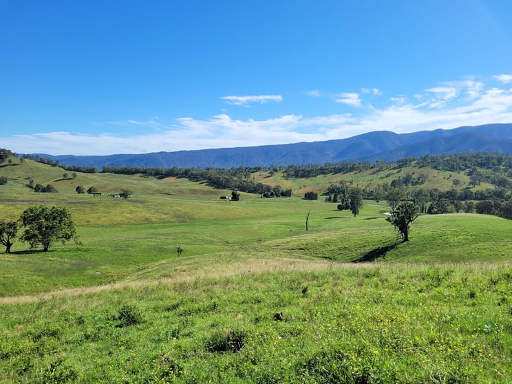 552 Neringla Road Neringla NSW 2622 - Image 1