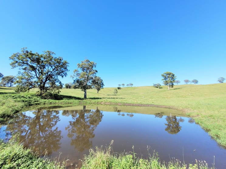 552 Neringla Road Neringla NSW 2622 - Image 3