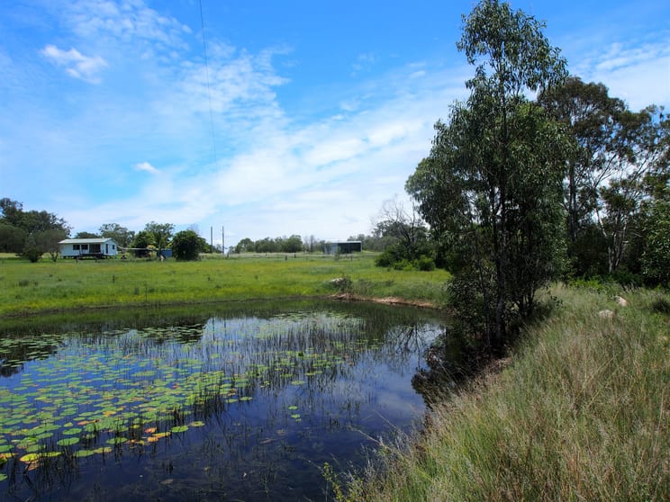 147 GUPPYS ROAD Eureka QLD 4660 - Image 1