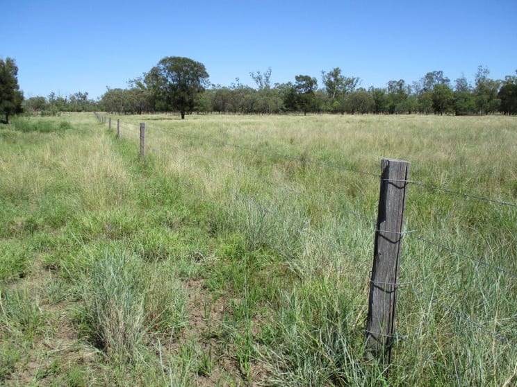 Click to view all images SOLD UNDER THE HAMMER Meandarra QLD 4422 - Image 2