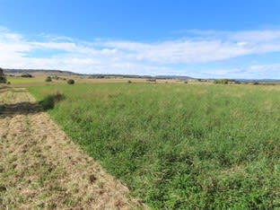 Click to view all images 261 Glen Legh Road Glen Innes NSW 2370 - Image 3
