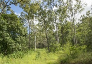 Click to view all images 8-70 Penny Lane Calvert QLD 4340 - Image 3