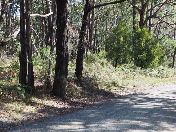 Click to view all images Lot 3 Brewsters Road Yinnar South VIC 3869 - Image 2